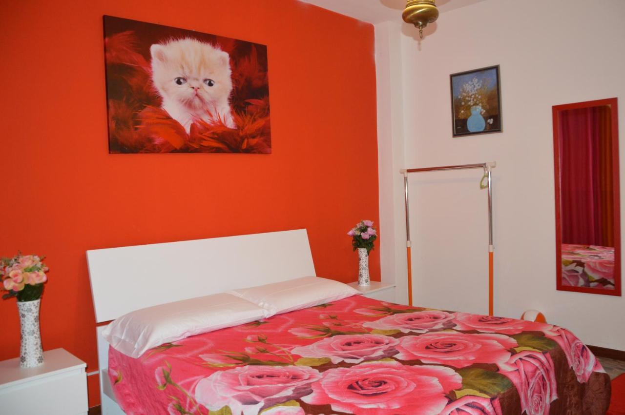 Amore Rosa Campalto Buitenkant foto